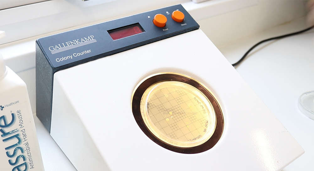 Un compteur de colonies